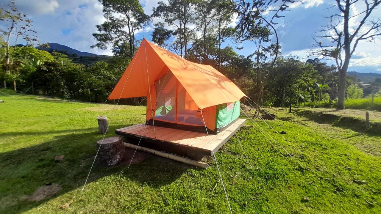 Ecoxplora-Zona De Camping Jardín Exteriör bild