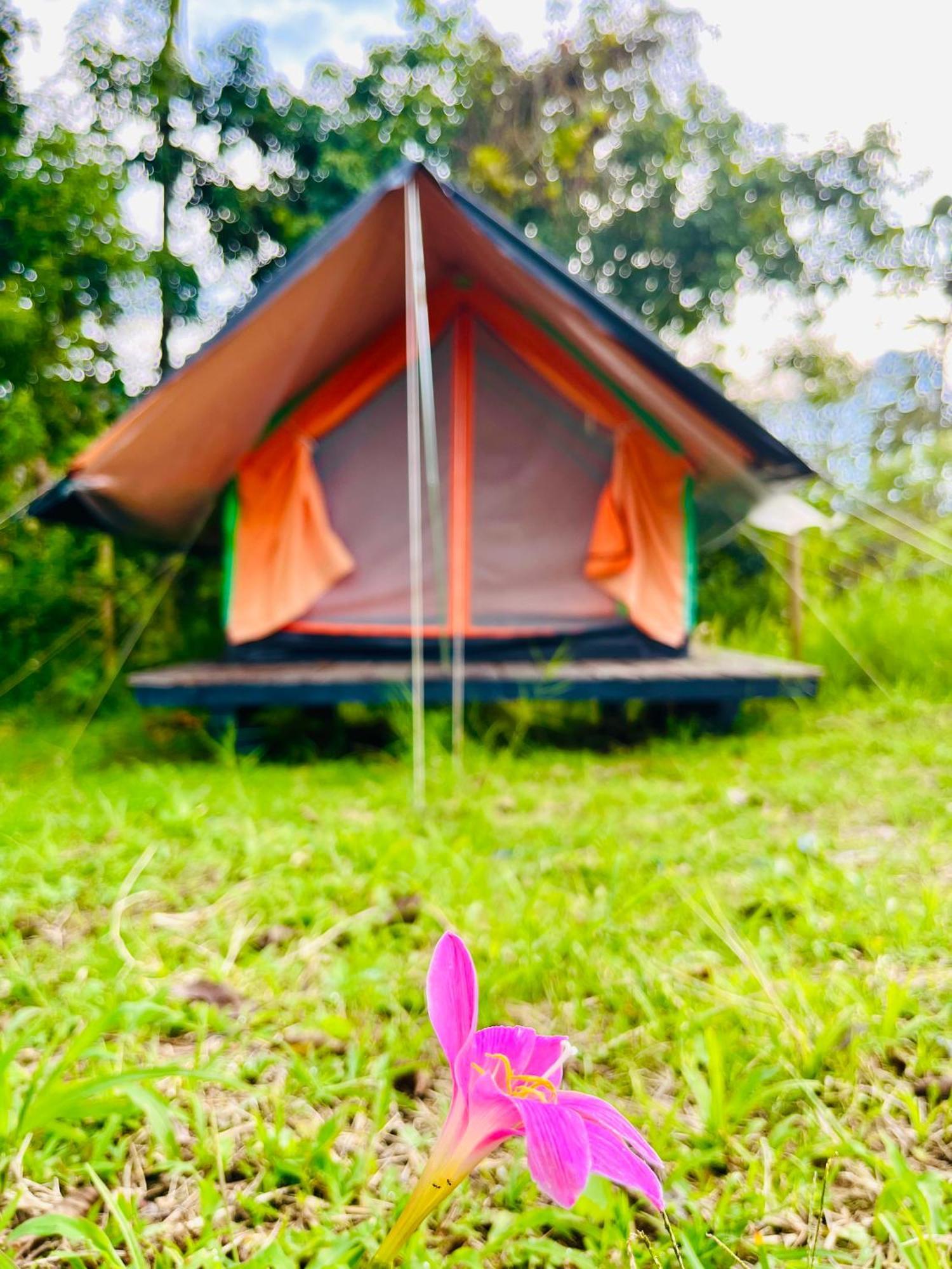 Ecoxplora-Zona De Camping Jardín Exteriör bild